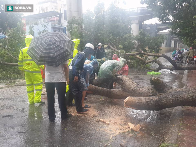 Cơn bão số 1: Gió giật cấp 8-10, HN nhiều cây đổ, đường tắc nghẽn - Ảnh 8.