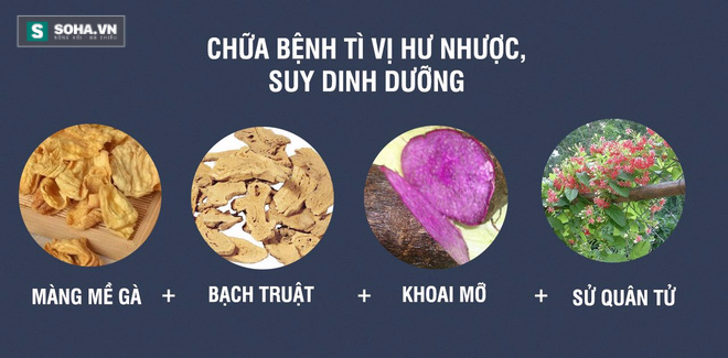 Màng mề gà: Vị thuốc cực quý không nhiều người biết - Ảnh 5.