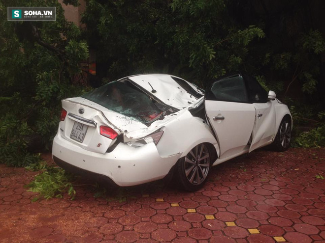 2 ô tô bị cây đổ đè trúng ở Hà Nội - Ảnh 6.