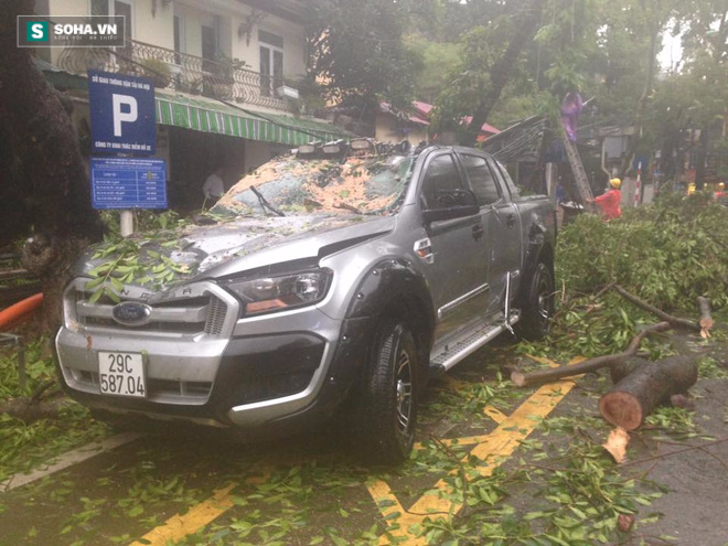 2 ô tô bị cây đổ đè trúng ở Hà Nội - Ảnh 2.