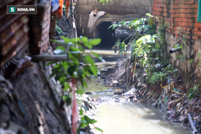 Cận cảnh kênh thoát nước giúp sân bay Tân Sơn Nhất không bị ngập - Ảnh 5.