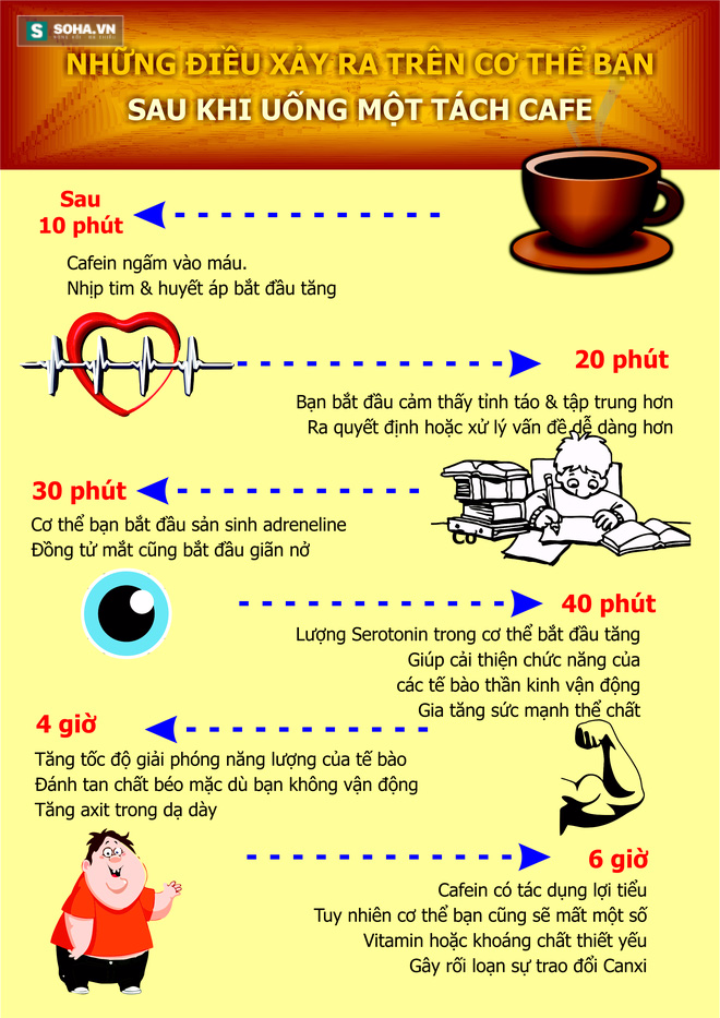 Cơ thể bạn biến đổi như thế nào sau khi uống 1 tách cà phê? - Ảnh 1.