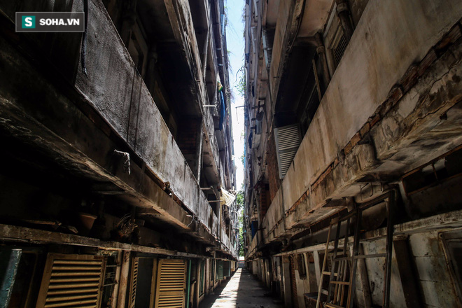 Cận cảnh vẻ hoang phế ma mị của cư xá bỏ hoang ở trung tâm Sài Gòn - Ảnh 1.