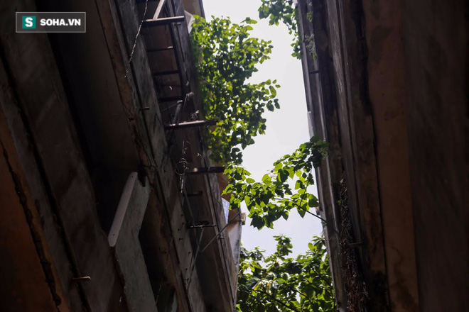Cận cảnh vẻ hoang phế ma mị của cư xá bỏ hoang ở trung tâm Sài Gòn - Ảnh 16.