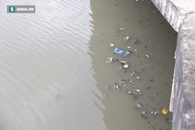 Tạo ôxy để cứu sống hàng nghìn con cá trên kênh Nhiêu Lộc - Ảnh 8.