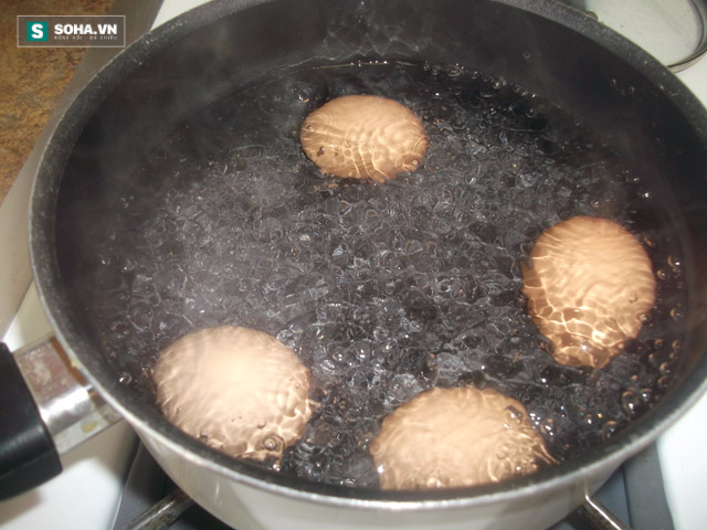 Những sai lầm phổ biến khi nấu khiến trứng vừa xấu vừa mất chất - Ảnh 1.
