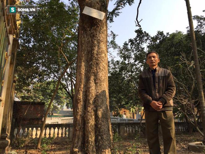 Cận cảnh cây sưa 50 tỷ trong vụ đánh nhau chảy máu đầu tại cuộc họp ở Bắc Ninh - Ảnh 6.