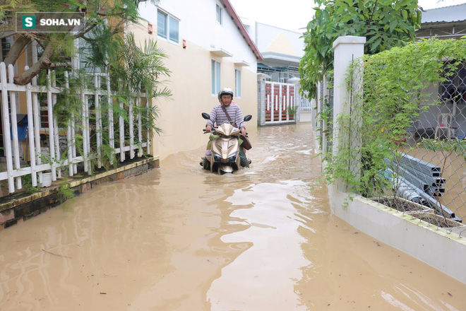 Nước tràn vào thành phố, cả Nha Trang tê liệt vì lụt - Ảnh 2.