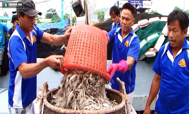 Nửa tháng sau sự cố arsen, Chủ tịch Hội nước mắm Phú Quốc: Chúng tôi như chết đứng! - Ảnh 1.