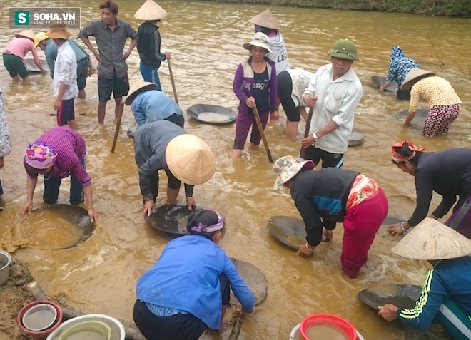 Hàng trăm người xới tung nhiều quả đồi ở Nghệ An - Ảnh 10.