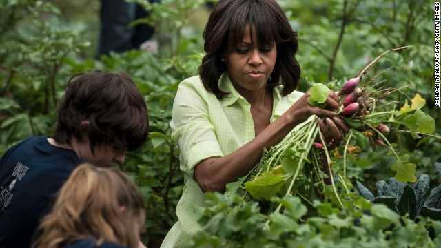 Loại cây được ví là sâm nam của VN có trong vườn nhà Obama - Ảnh 8.