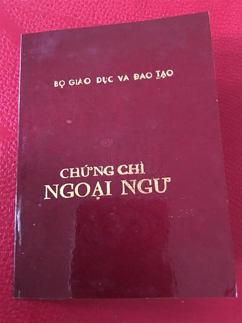 Khả năng học “siêu phàm” của ca sĩ Thanh Thảo - Ảnh 3.