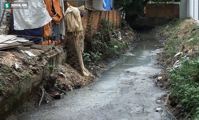 Chủ tịch TP thị sát kênh A41, “giải cứu” Tân Sơn Nhất thoát ngập - Ảnh 4.