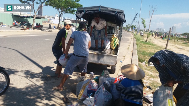 Đà Nẵng: Thị trường chíp chíp náo loạn vì thương lái Trung Quốc - Ảnh 3.