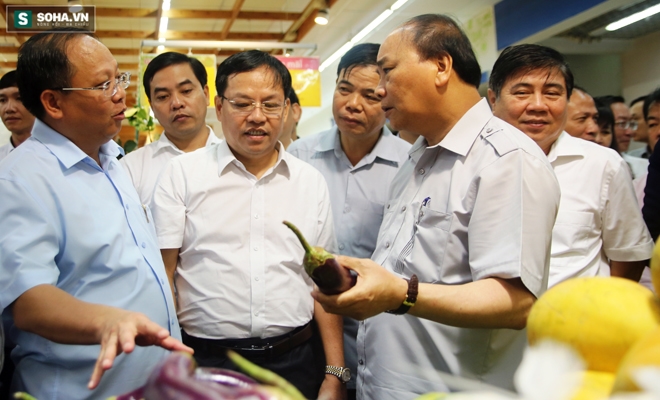 TP.HCM kiến nghị Thủ tướng được giữ nguồn tiền phạt thực phẩm bẩn - Ảnh 1.