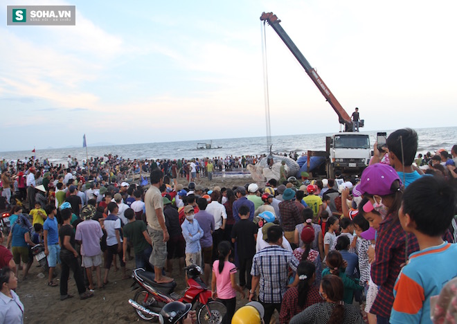 Hàng vạn người dân theo dõi cảnh trục vớt cá voi khủng lên bờ - Ảnh 28.
