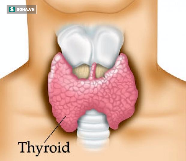 Dừng ngay 5 thói quen xấu này nếu không muốn phá hủy tuyến giáp - Ảnh 1.
