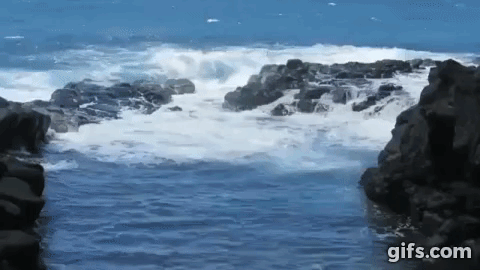 Sự nguy hiểm chết người của hồ bơi tự nhiên đẹp nhất Hawaii! - Ảnh 6.