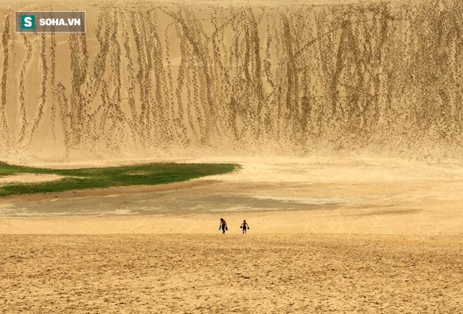 Không chỉ ở châu Phi, Nhật Bản cũng có sa mạc với những cồn cát cao hơn 50m - Ảnh 2.