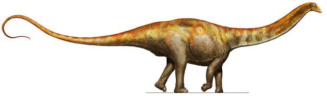 Phát hiện ra loài khủng long to đến đến mức chẳng có kẻ săn mồi nào dám động đến nó - Ảnh 1.