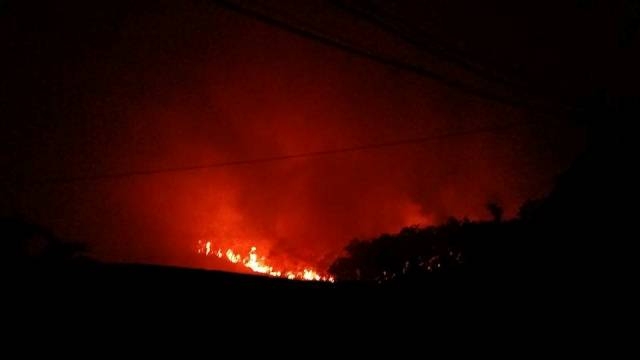 Có người ngạt khói trong đám cháy đỏ rực trời ở Sóc Sơn, 500 người dập lửa - Ảnh 3.