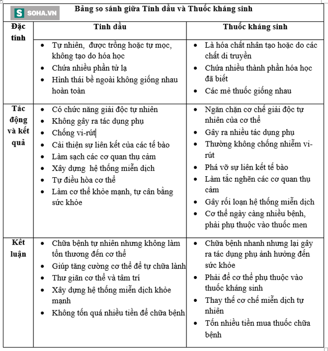 Chẳng cần đến thuốc kháng sinh, đây là tinh dầu chữa nhiều loại bệnh - Ảnh 1.