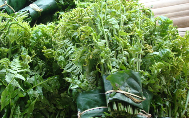 4 loại rau trường thọ được Trung Quốc ca ngợi lại mọc nhan nhản ở Việt Nam - Ảnh 3.