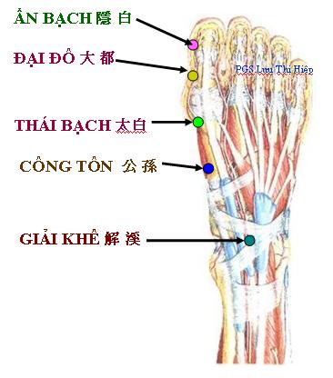 Những cửa ngõ cơ thể nếu được xoa bóp hàng ngày tác dụng không kém gì thuốc bổ  - Ảnh 1.