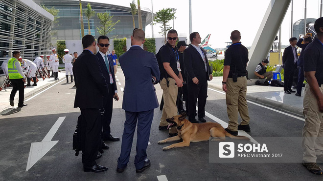 Mật vụ Mỹ và chó nghiệp vụ đã có mặt trong sân bay Đà Nẵng, sẵn sàng đón tổng thống Trump tới APEC - Ảnh 3.