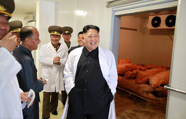 24h qua ảnh: Kim Jong Un tươi cười thăm trại nuôi lợn của quân đội - Ảnh 3.