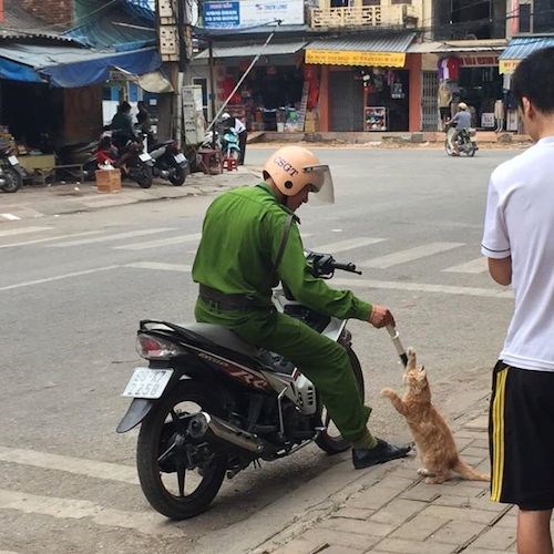 TIN TỐT LÀNH ngày 21/6: Phó thủ tướng: Chẳng cần gì đến tiền nong cả, chỉ cần một quy định... - Ảnh 2.