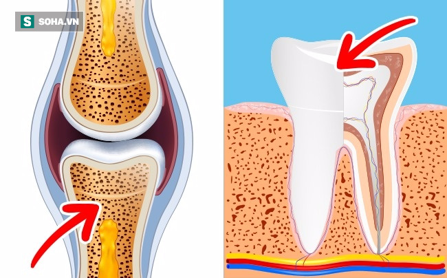 Điều gì xảy ra với cơ thể bạn nếu ăn 2 quả trứng mỗi ngày? - Ảnh 2.