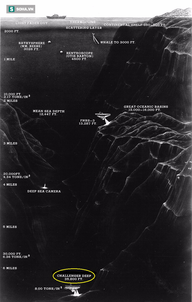Khám phá vùng địa ngục của đại dương: Độ cao của núi Everest không thấm vào đâu! - Ảnh 3.