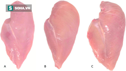 Ai hay ăn thịt gà nên cẩn thận với những vằn trắng xuất hiện trên miếng ức - Ảnh 1.