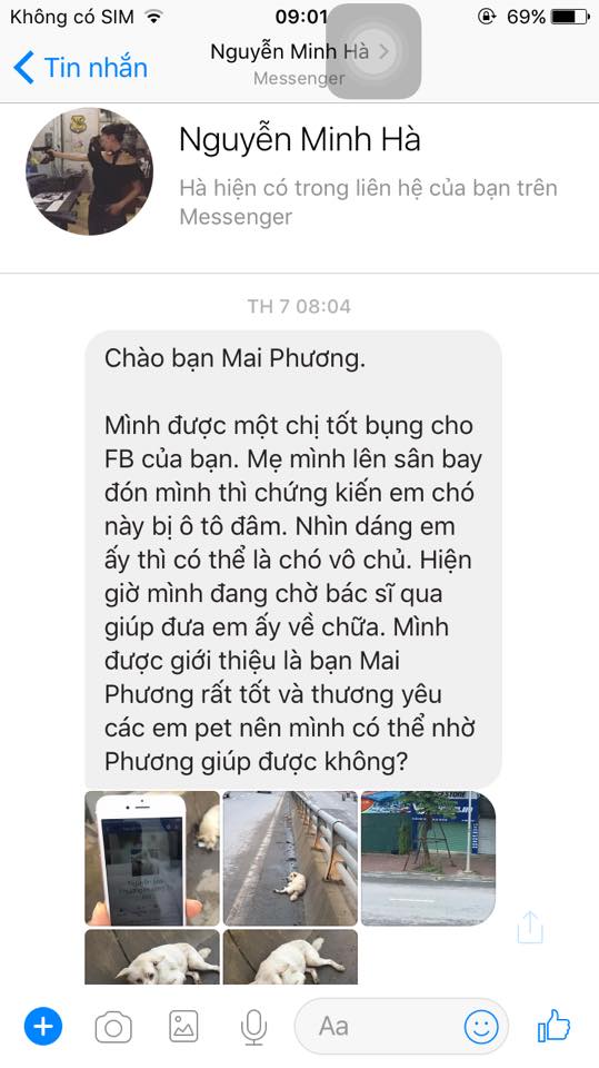 Chú chó bị đâm trên phố Hà Nội: Lòng thương và lời đề nghị thẳng thắn tới lạnh người - Ảnh 3.