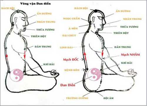 Nobel Y học và điểm huyệt theo giờ của phái Võ Đang - Ảnh 3.