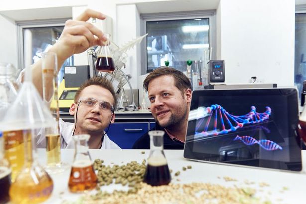 Lần đầu tiên xuất hiện bia sản xuất dựa trên ADN của người,  hứa hẹn hấp dẫn các quý ông - Ảnh 2.