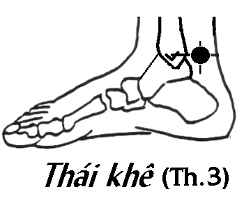 Những cửa ngõ cơ thể nếu được xoa bóp hàng ngày tác dụng không kém gì thuốc bổ  - Ảnh 2.