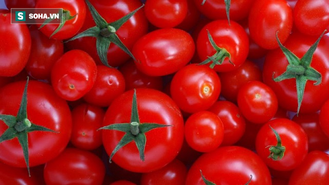 Cà chua đỏ và cà chua vàng rất khác nhau, nên ăn loại nào?  - Ảnh 1.