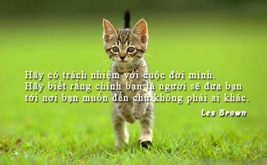 Quy định quái đản của trại hè: Phân đẳng cấp và bài học để đời dành cho các học viên! - Ảnh 2.