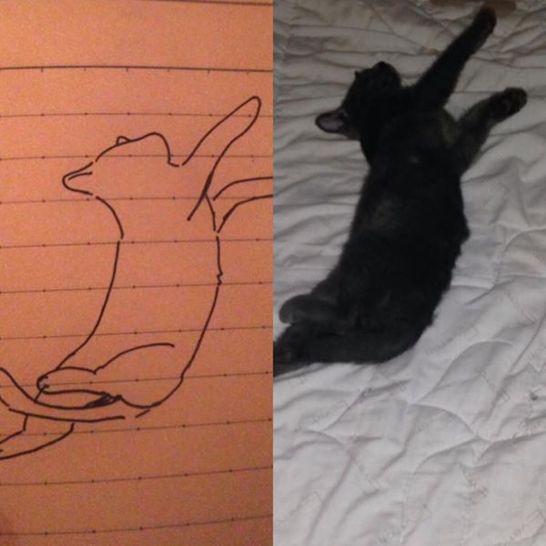Bức tranh vẽ mèo kỳ lạ, ai cũng giật mình khi so sánh với hình ảnh thực tế - Ảnh 5.