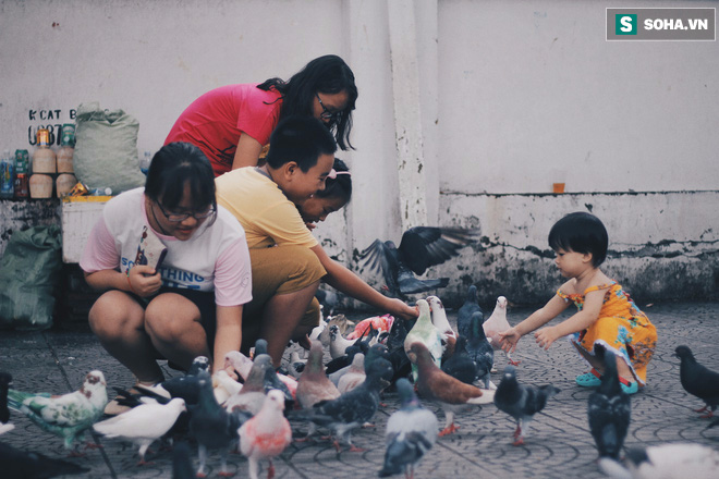 Người đàn ông nhuộm màu 70 chim bồ câu ở nhà thờ Đức Bà: Họ biết gì đâu mà xót - Ảnh 11.