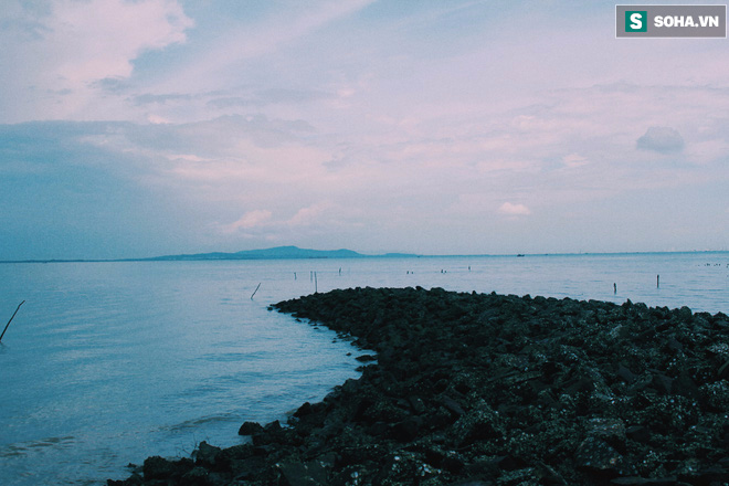 Vi vu ở Cần Giờ - Ốc đảo xanh xinh đẹp mà ai cũng nên một lần ghé qua - Ảnh 14.