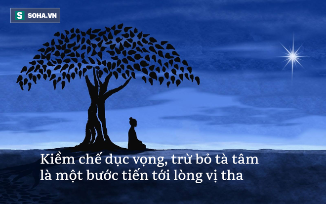 Tháo chạy khỏi hổ dữ, lữ khách chết vì vài giọt mật: Lời cảnh tỉnh đến hầu hết chúng ta! - Ảnh 4.