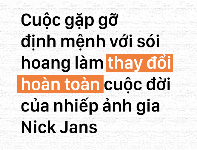 Sói hoang cảm hóa cuộc đời một con người: Câu chuyện lấy đi nước mắt của gã thợ săn - Ảnh 2.