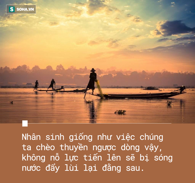 Nếu loại bỏ, ai bị chọn đầu tiên trong 4 thầy trò Đường Tăng? và câu trả lời đáng ngẫm - Ảnh 6.