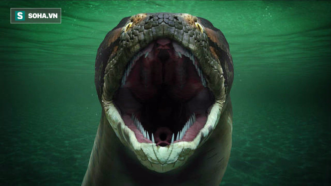 Quái vật rắn khổng lồ Titanoboa nặng hơn 1 tấn được tìm thấy như thế nào? - Ảnh 2.