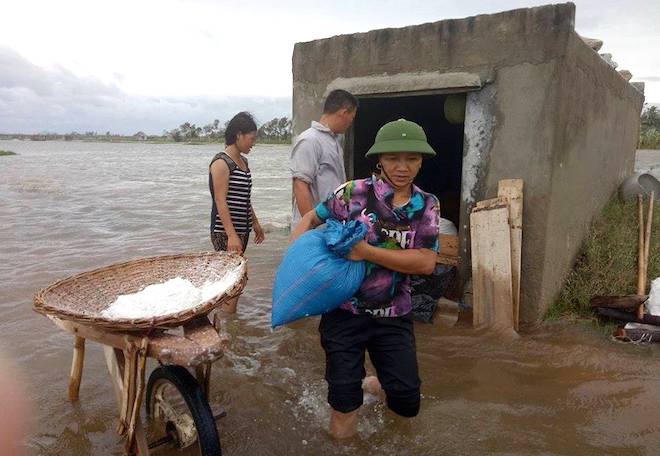 Nước ngập trắng đồng, diêm dân nháo nhào đi cứu muối trong biển nước - Ảnh 4.