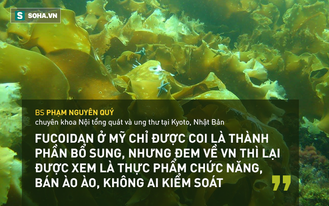 Cuộc đối thoại của các bác sĩ phát lộ sự thật về nhân sâm, tổ yến, gạo lứt - Ảnh 4.