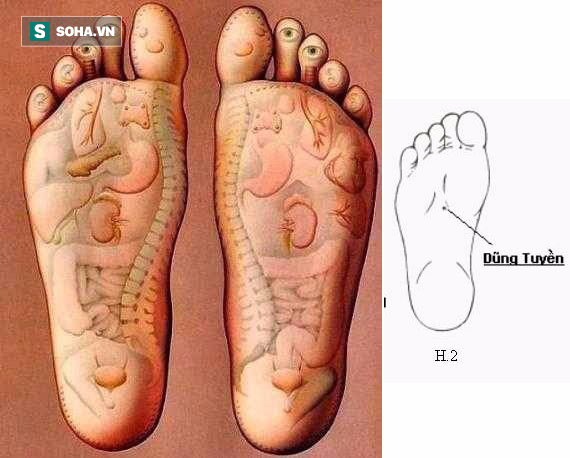 Sáng, trưa, chiều, tối làm những việc này, nắng nóng đến mấy vẫn khoẻ mạnh - Ảnh 3.